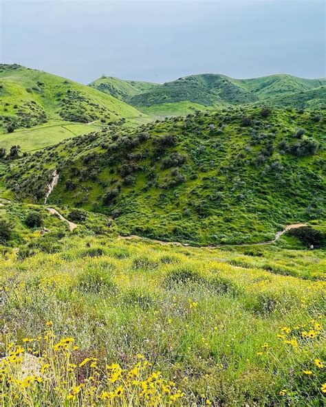 [CLOSED] The Cave of Munits w/ Terry Church {Pharmacy} — Peaks & Professors