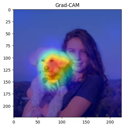 Pytorch Image Classification Tutorial 的图像结果