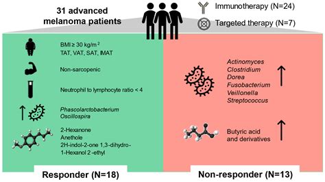 Gut Microbiota, Metabolome, and Body Composition Signatures of Response ...