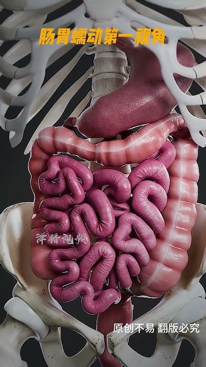 Food Science 动画 的图像结果