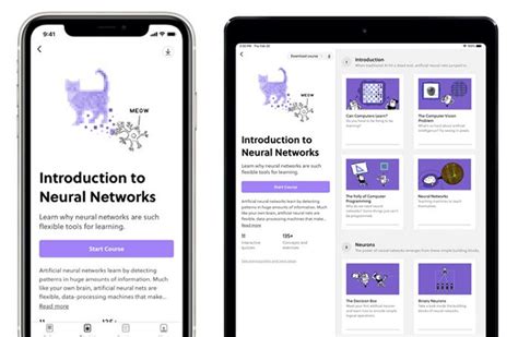 App Tutorial Examples 的图像结果