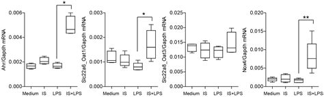 Uremic Toxin Indoxyl Sulfate Promotes Macrophage-Associated Low-Grade ...