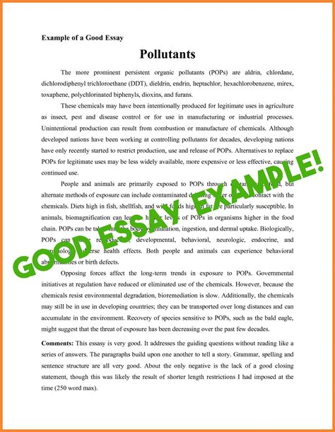 Image result for Essay Writing Samples