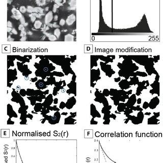 Image result for Image Processing Using ImageJ