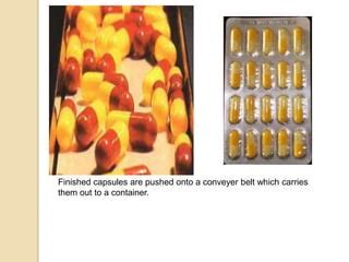Capsule Shell Manufacturing Process 的图像结果