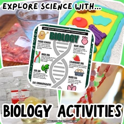 Science Experiments for 3rd Graders 的图像结果