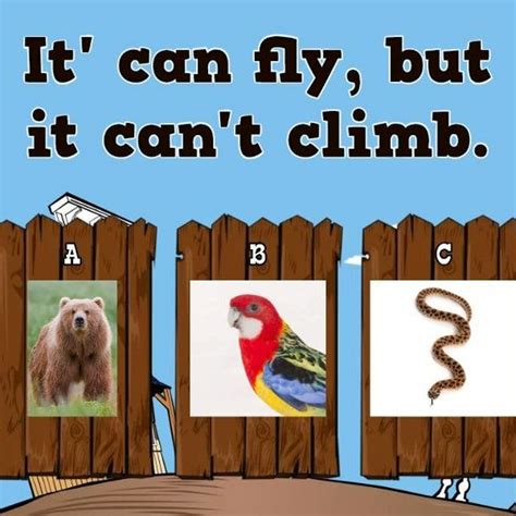 Image result for Python Pygame Examples