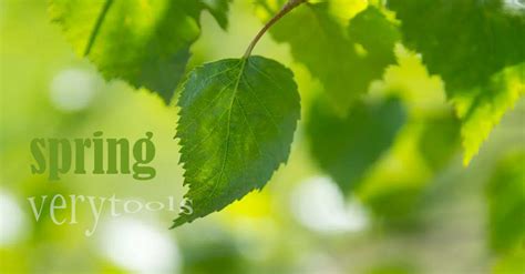 Kaggle Notebook Tutorial 的图像结果