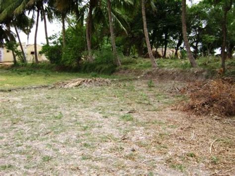 Musiri Tourism (2026) India - Best Places to Visit in Musiri, Musiri ...