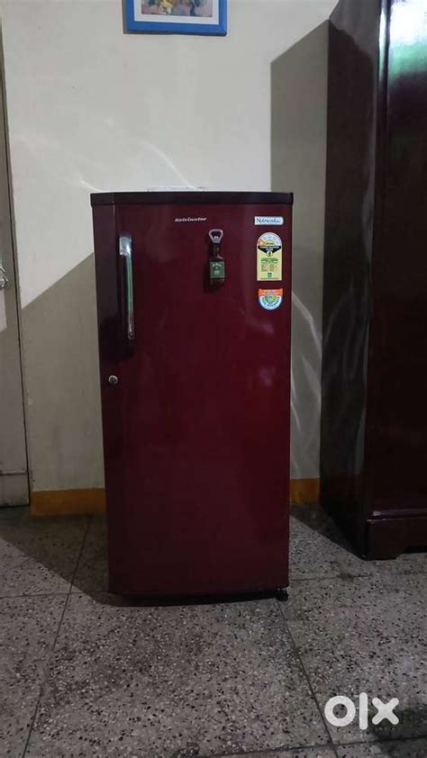 Kelvinator - Fridges - 1817143297