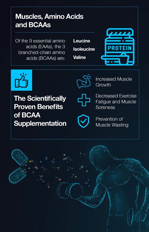When to Take BCAAs: Pre or Post Workout? Morning, Noon or Night? – The Amino Company