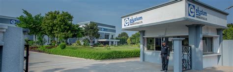 Elysium Pharmaceuticals Ltd.