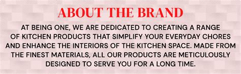 Being One Sunday Stainless Steel Scrubbers With Handle Cleaning Brush ...