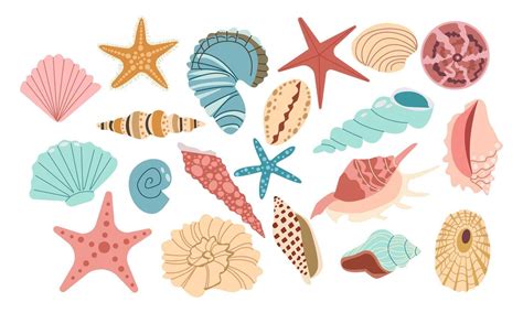 Shell 的图像结果