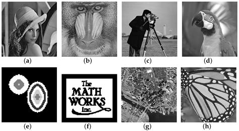 A Novel Fractional-Order Non-Convex TVα,p Model in Image Deblurring