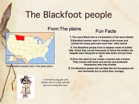 Blackfoot Tribe Interesting Facts: History, Culture, and Traditions