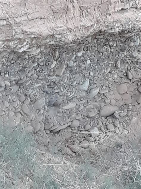 Image result for Gold Prospecting Tips