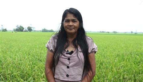 Mindoreño-invented technology boosts country's rice production - Philippine Information Agency