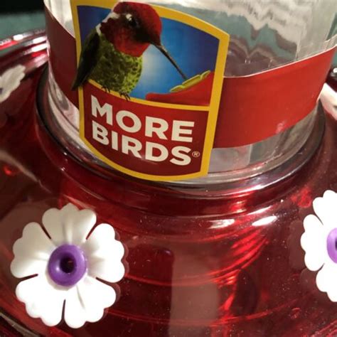 Buy More Birds Bird Health+ Big Gulp Hummingbird Feeder, Glass ...