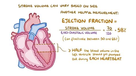 Animation Cardiac Output 的图像结果