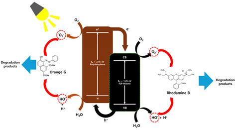Molecules | March-2 2025 - Browse Articles