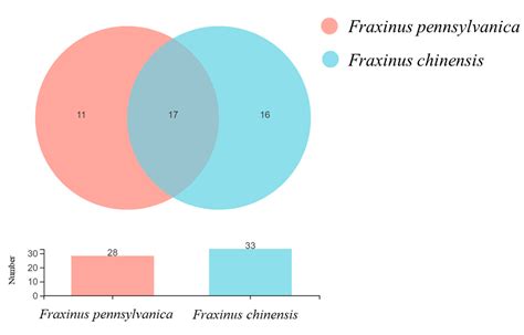 Functional Role of Intestinal Symbiotic Microorganisms in Improving the ...