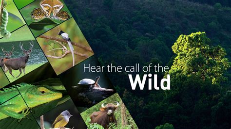 Welcome to Kerala Tourism - Official Website of Department of Tourism ...