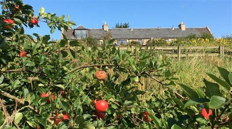 PLUM BRAES BARN (Kelso, United Kingdom - Scotland) - Cottage Reviews ...