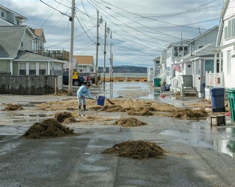 Announcing the 2024 Picturing Rising Tides Voting Results | NH ...