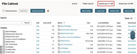 Image result for NetSuite SuiteScript