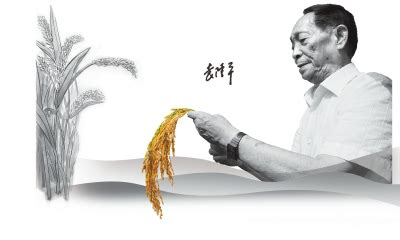 巨匠陨落 国士无双 —— 致敬“杂交水稻之父”袁隆平