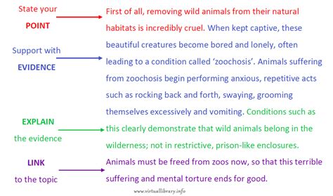 Image result for How to Write a Paragraph Example