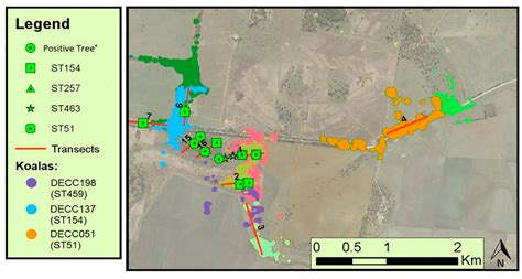 A Possible Link between the Environment and Cryptococcus gattii Nasal ...
