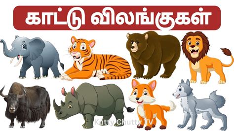 Image result for Public Main Java