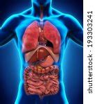 Human Hand Puppet 的图像结果