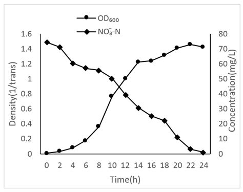 Formulation and Characterization of a Heterotrophic Nitrification ...