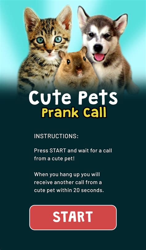 Cute Pets Prank Call (Cat, Dog, Rabbit, Hamster and more!) - App on ...