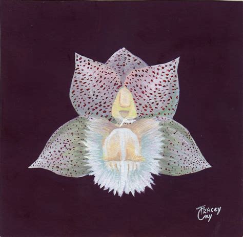 White orchid. Tempera on paper. 10×13 cm. 2021 – Sorin Patricia gallery
