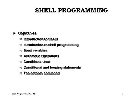 Shell Program 的图像结果