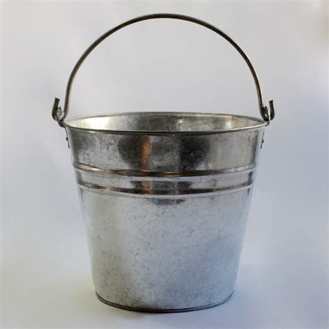 Large Stainless Bucket at Rocio Wilds blog