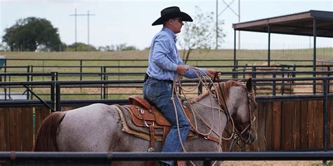 Beginner Roping Lessons 的图像结果