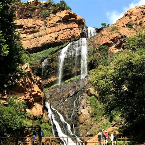 JOHANNESBURG BOTANICAL GARDEN (2026) All You Need to Know BEFORE You Go ...