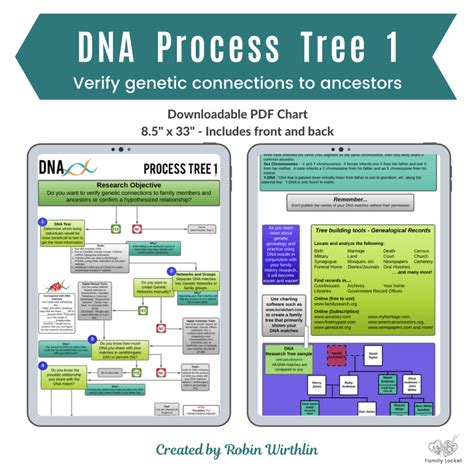 Parent Process Tree 的图像结果