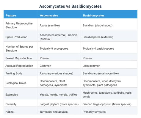 Nucleotide vs Nucleic Acid