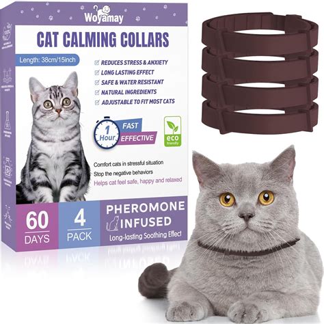 How Do Calming Collars Work For Cats at Patty Jackson blog