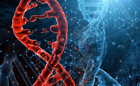 Biomedical technology Innovations 的图像结果