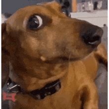 Image result for Meme JavaScript Eqal