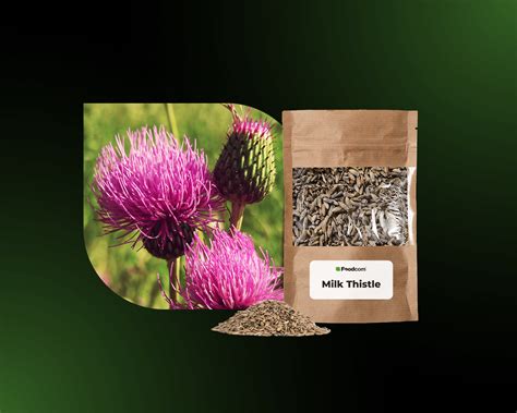 Milk thistle | Price | Wholesale - Foodcom S.A.