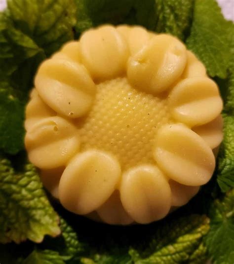 Recipe for Yarrow Healing Lotion Body Bars – Hawk Point Hobby HomeStead