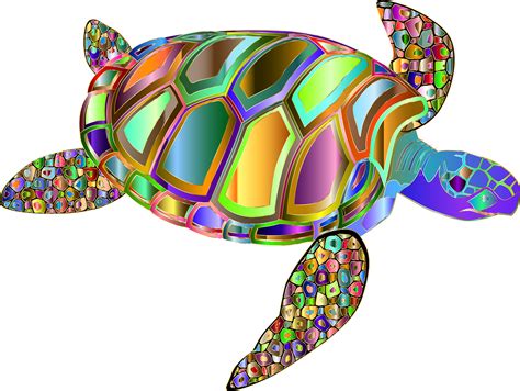 Image result for Turtle Graphics Art